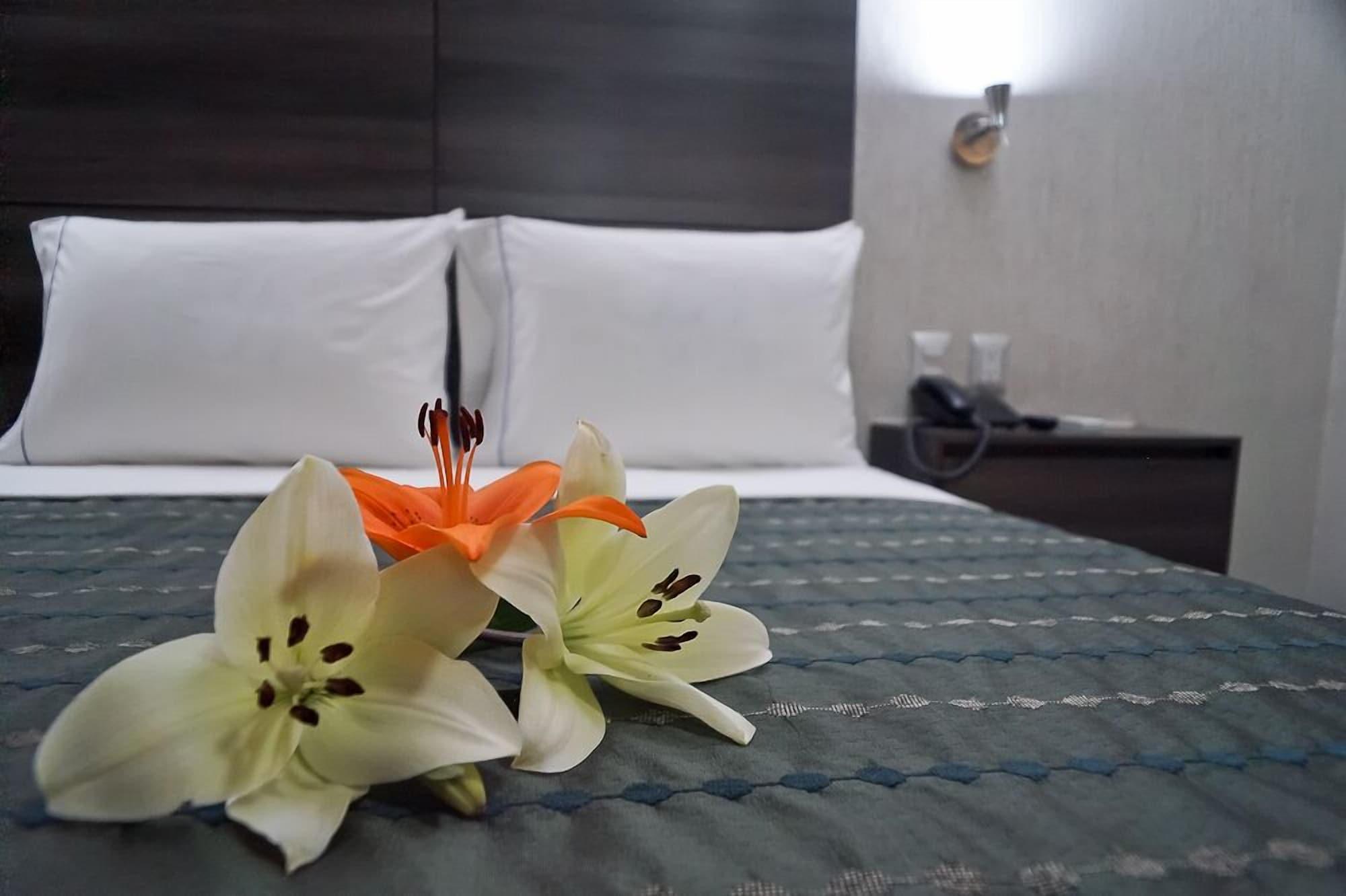 Hotel Expo Abastos Гвадалахара Экстерьер фото